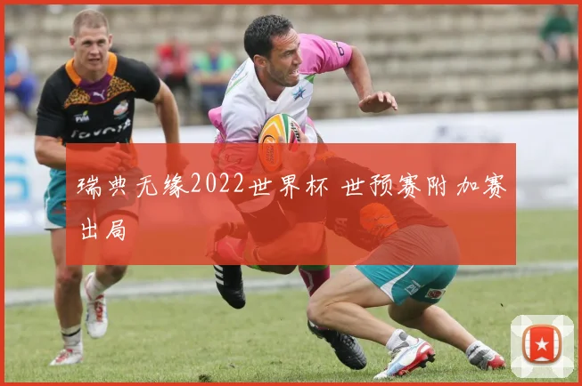 瑞典无缘2022世界杯 世预赛附加赛出局