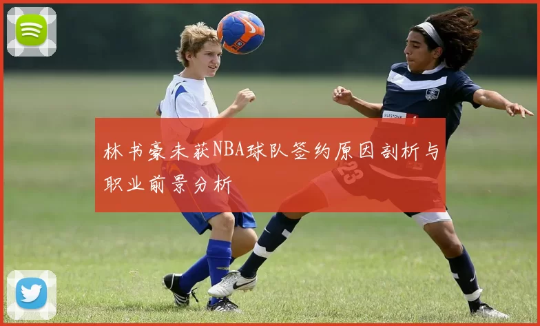 林书豪未获NBA球队签约原因剖析与职业前景分析
