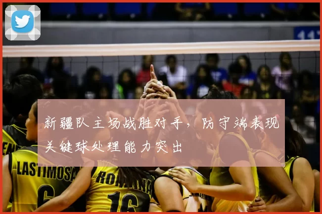 新疆队主场战胜对手，防守端表现关键球处理能力突出