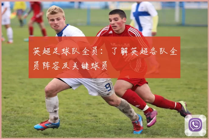 英超足球队全员：了解英超各队全员阵容及关键球员