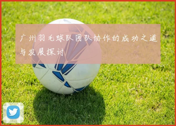 广州羽毛球队团队协作的成功之道与发展探讨