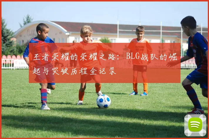王者荣耀的荣耀之路:BLG战队的崛起与突破历程全记录