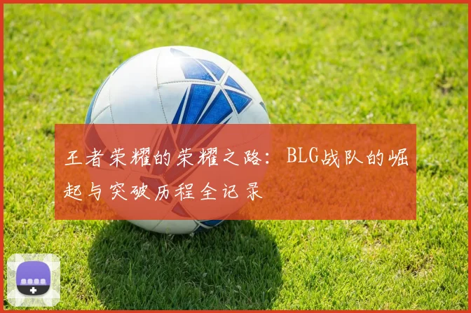 王者荣耀的荣耀之路:BLG战队的崛起与突破历程全记录