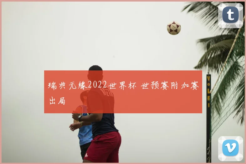 瑞典无缘2022世界杯 世预赛附加赛出局