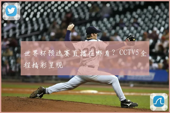 世界杯预选赛直播在哪看?CCTV5全程精彩呈现
