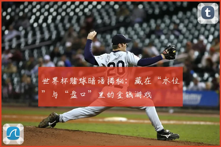 世界杯赌球暗语揭秘:藏在“水位”与“盘口”里的金钱游戏