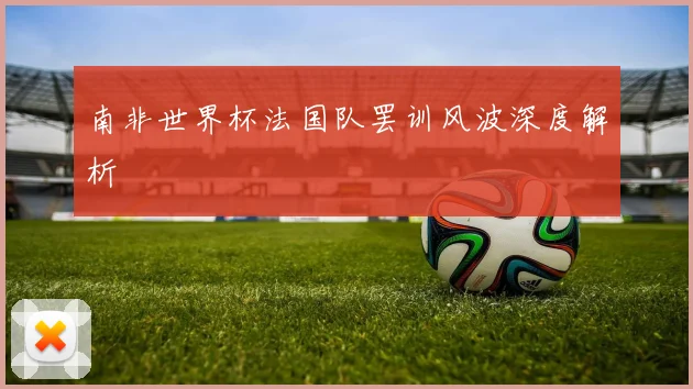 南非世界杯法国队罢训风波深度解析