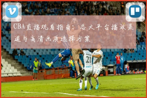 CBA直播观看指南：各大平台播放渠道与高清画质选择方案