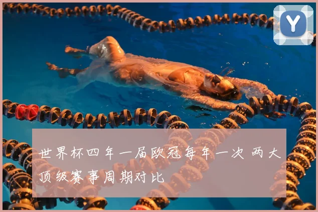 世界杯四年一届欧冠每年一次 两大顶级赛事周期对比