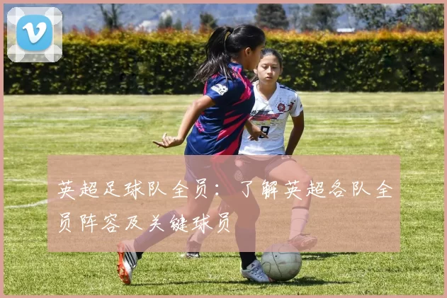 英超足球队全员：了解英超各队全员阵容及关键球员