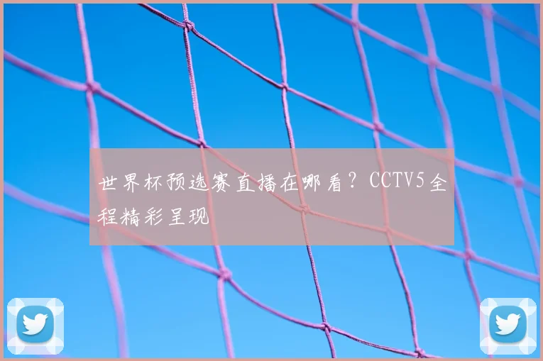 世界杯预选赛直播在哪看?CCTV5全程精彩呈现