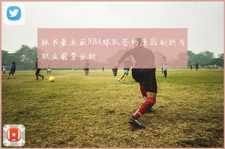 林书豪未获NBA球队签约原因剖析与职业前景分析
