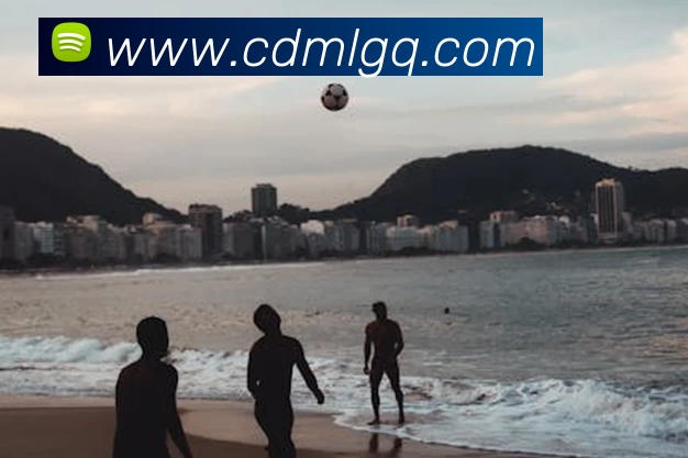 J9集团平台生态图