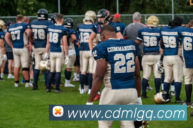 J9集团APP 封面图